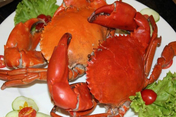 Mơ thấy cua – Đánh con số nào tỷ lệ trúng lô đề cao - 2 Mơ thấy cua
