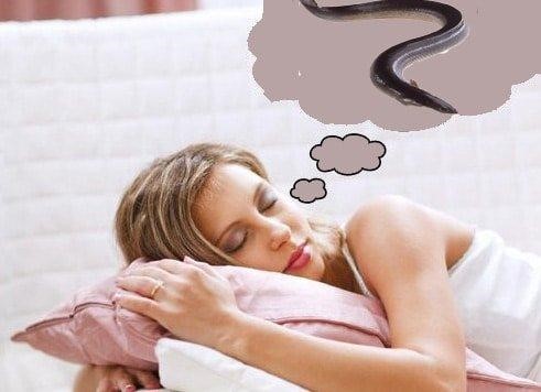 Nằm mơ thấy lươn đánh con gì - 2 mơ thấy lươn