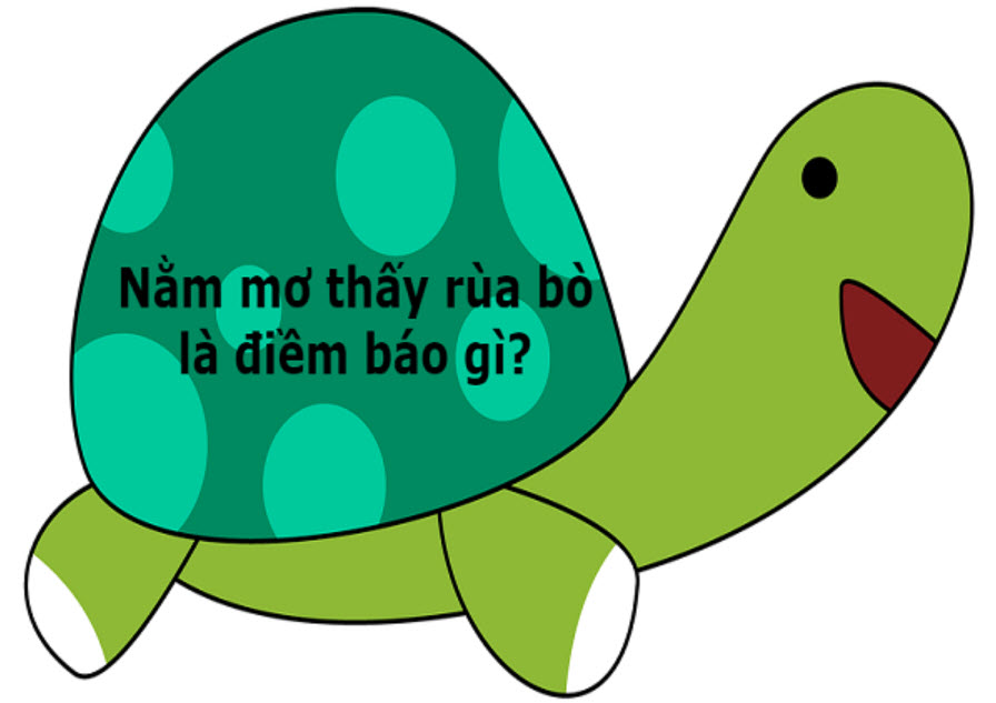 Giấc mơ có rùa có điềm báo gì - 4 Điềm báo giấc mơ rùa bò
