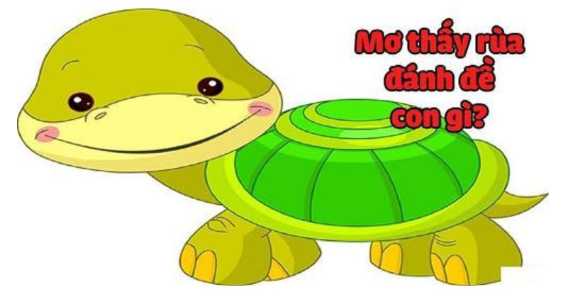 Giấc mơ có rùa có điềm báo gì - 1 Giấc mơ có rùa