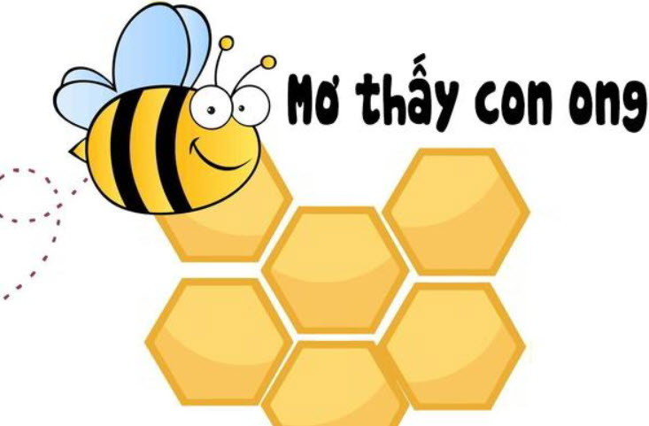 Mơ nhìn thấy ong tốt hay xấu Mơ nhìn thấy ong tốt hay xấu