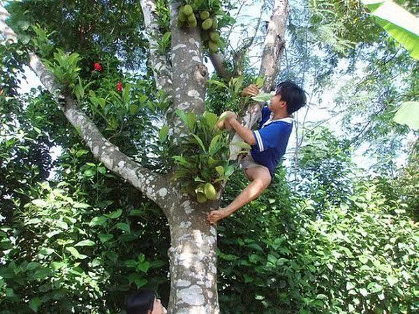 mơ thấy trèo lên cao mơ thấy trèo lên cao