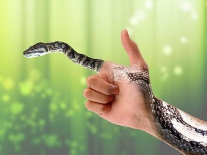 Giấc mơ và con số hoàn toàn có thể có mối liên hệ với nhau Giấc mơ và con số hoàn toàn có thể có mối liên hệ với nhau