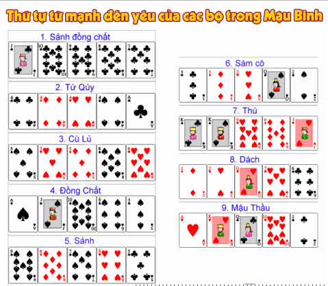 Thứ tự các bộ khi binh xập xám Thứ tự các bộ khi binh xập xám