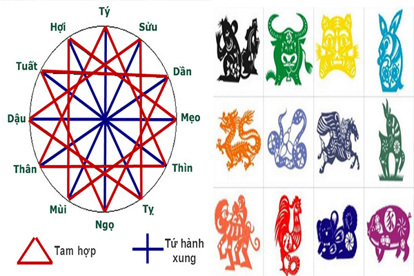 Các nhóm tuổi tam hợp nhóm tuổi tam hợp