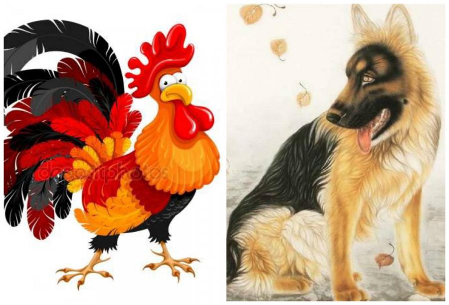 Tuổi hợp hay tuổi đại kỵ Tuổi hợp hay tuổi đại kỵ