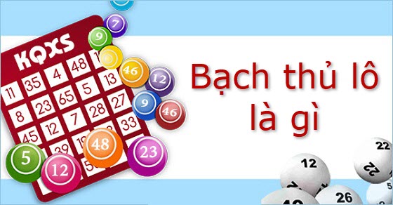 Bạch thủ lô là gì Bạch thủ lô là gì