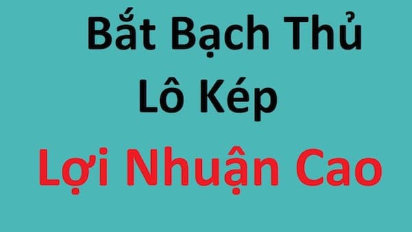 Cách bắt bạch thủ lô kép Cách bắt bạch thủ lô kép
