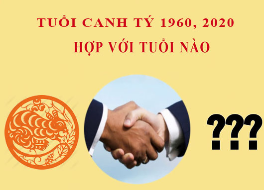 canh tý hợp tuổi nào canh tý hợp tuổi nào