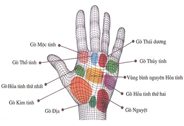 Vân tay đôi khi báo trước tương lai cho bạn Vân tay đôi khi báo trước tương lai cho bạn