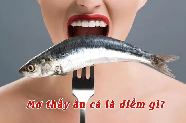Mơ thấy ăn cá là điềm gì tốt hay xấu Mơ thấy ăn cá là điềm gì tốt hay xấu