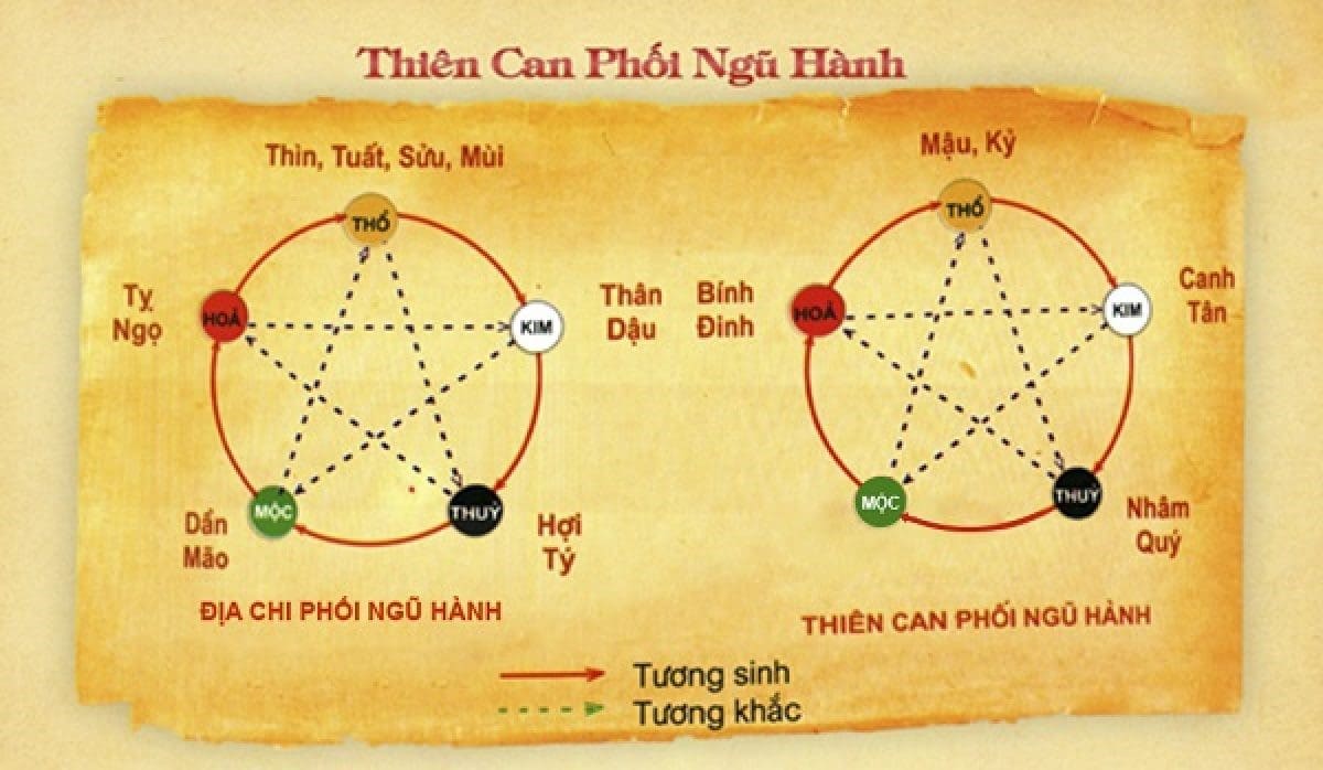 Thiên can ngày và tuổi dung hòa khởi đầu suôn sẻ Thiên can ngày và tuổi dung hòa khởi đầu suôn sẻ